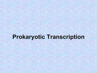 Prokaryotic Transcription 
