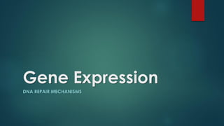 Gene Expression
DNA REPAIR MECHANISMS
 