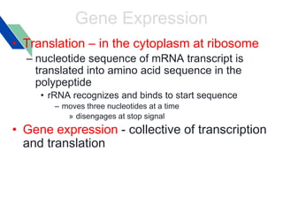 Transcription and Translation _ Biology | PPTX