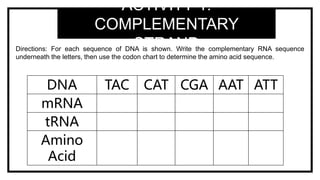 TRANSCRIPTION AND TRANSLATION.pptx