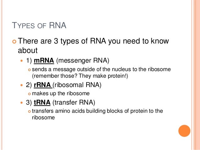 transcription and translation 3 types of rna