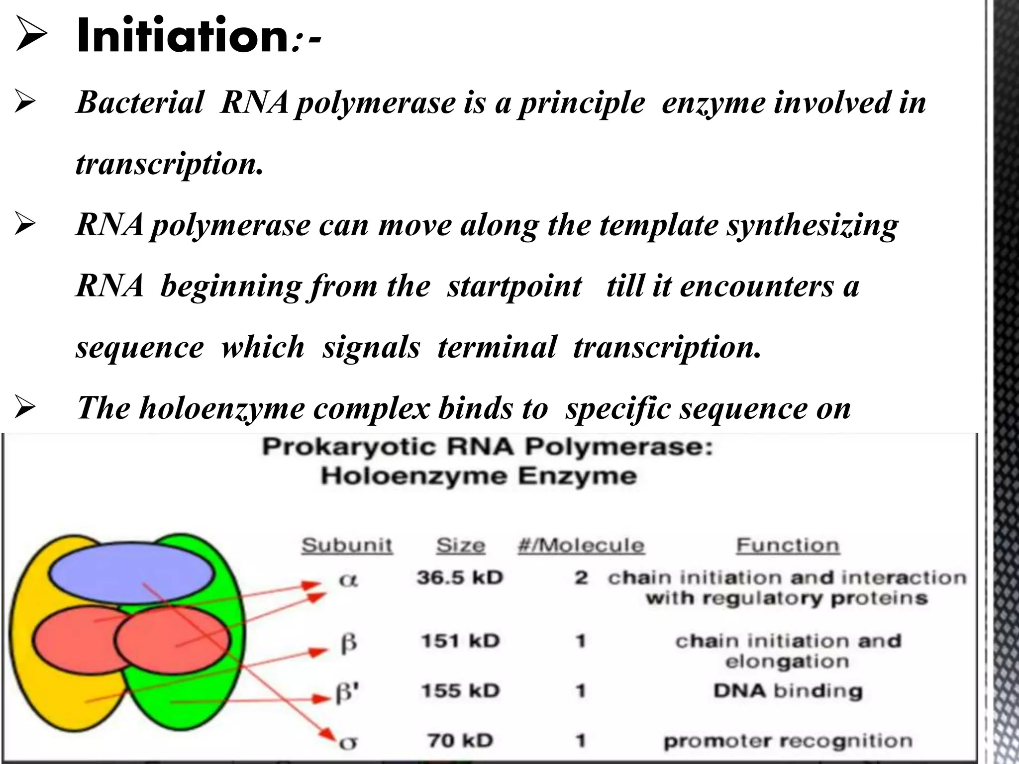 Transcription and translation in prokaryotes | PPTX