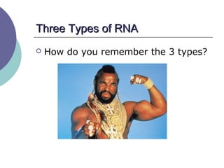 Three Types of RNAThree Types of RNA
 How do you remember the 3 types?
 