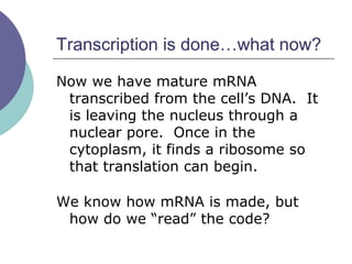 Transcription is done…what now?
Now we have mature mRNA
transcribed from the cell’s DNA. It
is leaving the nucleus through a
nuclear pore. Once in the
cytoplasm, it finds a ribosome so
that translation can begin.
We know how mRNA is made, but
how do we “read” the code?
 
