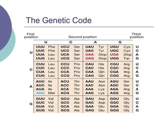 The Genetic Code
 