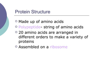 Protein Structure
 Made up of amino acids
 Polypeptide- string of amino acids
 20 amino acids are arranged in
different orders to make a variety of
proteins
 Assembled on a ribosome
 