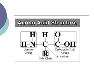 Transcription and translation 