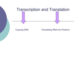 Transcription and Translation
Copying DNA Translating RNA into Proteins
 