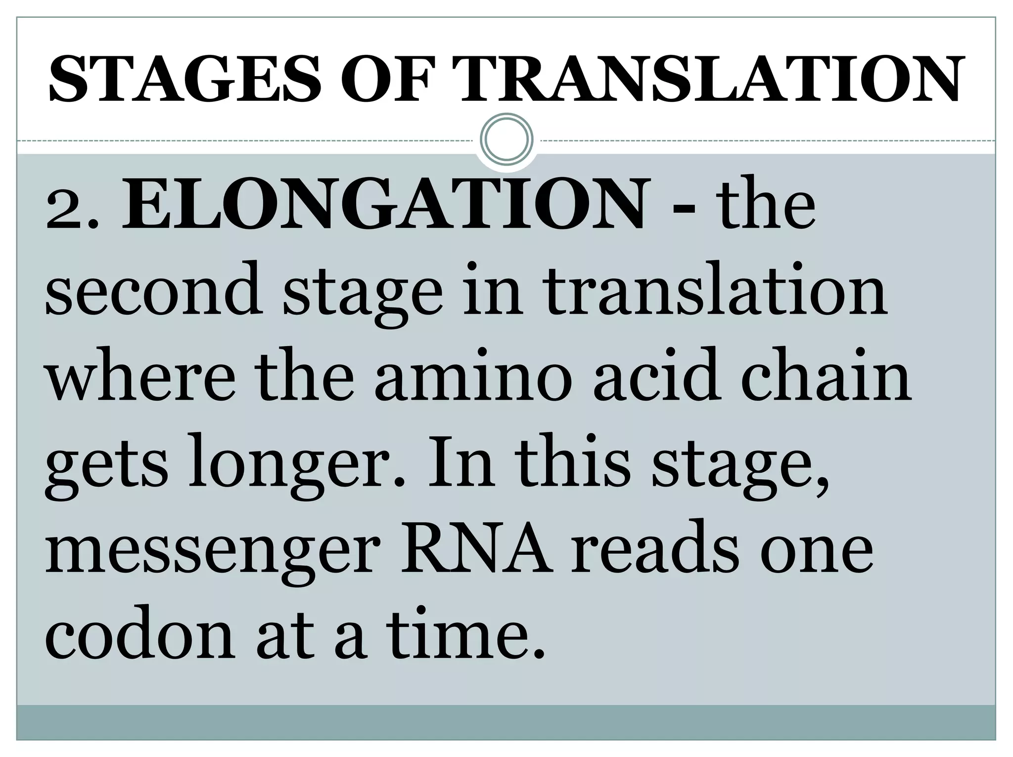 STAGES OF TRANSLATION
2. ELONGATION - the
second stage in translation
where the amino acid chain
gets longer. In this stage,
messenger RNA reads one
codon at a time.
 