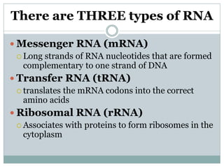 Transcription and Translation part 2.ppt