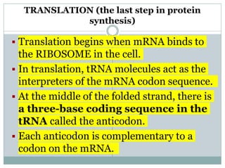 Translation Base Images Transcription and Translation part 2.ppt
