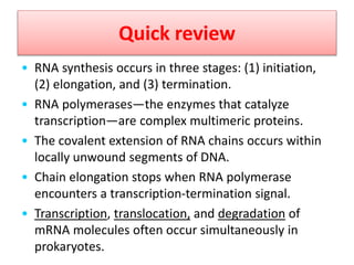 Quick review
• RNA synthesis occurs in three stages: (1) initiation,
(2) elongation, and (3) termination.
• RNA polymerases—the enzymes that catalyze
transcription—are complex multimeric proteins.
• The covalent extension of RNA chains occurs within
locally unwound segments of DNA.
• Chain elongation stops when RNA polymerase
encounters a transcription-termination signal.
• Transcription, translocation, and degradation of
mRNA molecules often occur simultaneously in
prokaryotes.
 