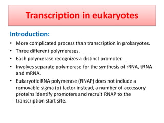 Transcription in eukaryotes
Introduction:
• More complicated process than transcription in prokaryotes.
• Three different polymerases.
• Each polymerase recognizes a distinct promoter.
• Involves separate polymerase for the synthesis of rRNA, tRNA
and mRNA.
• Eukaryotic RNA polymerase (RNAP) does not include a
removable sigma (σ) factor instead, a number of accessory
proteins identify promoters and recruit RNAP to the
transcription start site.
 