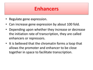 Enhancers
• Regulate gene expression.
• Can increase gene expression by about 100 fold.
• Depending upon whether they increase or decrease
the initiation rate of transcription, they are called
enhancers or repressors.
• It is believed that the chromatin forms a loop that
allows the promoter and enhancer to be close
together in space to facilitate transcription.
 