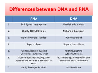 Differences between DNA and RNA
RNA DNA
1. Mainly seen in cytoplasm Mostly inside nucleus
2. Usually 100-5000 bases Millions of base pairs
3. Generally single stranded Double stranded
4. Sugar is ribose Sugar is deoxyribose
5. Purines: Adenine, guanine
Pyrimidines : cytosine, uracil
Adenine, guanine
Cytosine, thymine
6. Guanine content is not equal to
cytosine and adenine is not equal to
uracil
Guanine is equal to cytosine and
adenine id equal to thymine
7. Easily destroyed by alkali Alkali resistant
 