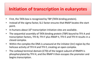 Initiation of transcription in eukaryotes
• First, the TATA box is recognized by TBP (TATA binding protein).
• Instead of the sigma factor, SL1 factor ensures that RNAP locates the start
point.
• In humans about 105 transcription initiation sites are available.
• The sequential assembly of TATA binding protein (TBP) bound to TFII A and
transcription factors, TFII B, TFII F plus RNAP II, TFII E and TFII H results in a
closed complex.
• Within the complex the DNA is unwound at the initiator (Inr) region by the
helicase activity of TFII H and TFII F, creating an open complex.
• The carboxyl terminal domain (CTD) of the largest subunit of RNAPII is
phosphorylated by TFII H, and the RNAP II then escapes the promoter and
begins transcription.
 