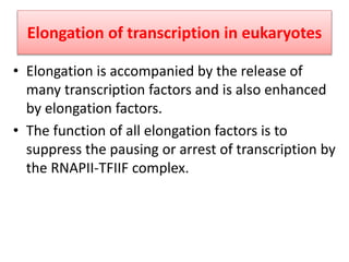 Elongation of transcription in eukaryotes
• Elongation is accompanied by the release of
many transcription factors and is also enhanced
by elongation factors.
• The function of all elongation factors is to
suppress the pausing or arrest of transcription by
the RNAPII-TFIIF complex.
 