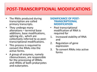 POST-TRANSCRIPTIONAL MODIFICATIONS
• The RNAs produced during
transcription are called
primary transcripts.
• They undergo many
alterations – terminal base
additions, base modifications,
splicing etc., which are
collectively referred to as post-
transcriptional modifications.
• This process is required to
convert the RNAs into the
active forms.
• A group of enzymes, namely
ribonucleases, are responsible
for the processing of tRNAs
and rRNAs of both prokaryotes
and eukaryotes.
SIGNIFICANCE OF POST-
TRANSCRIPTIONAL
MODIFICATION
• Post transcriptional
modification of RNA is
required for
1. Increased stability of RNA
and
2. Regulation of gene
expression
3. To convert RNAs into active
forms
 