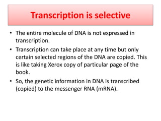 Transcription is selective
• The entire molecule of DNA is not expressed in
transcription.
• Transcription can take place at any time but only
certain selected regions of the DNA are copied. This
is like taking Xerox copy of particular page of the
book.
• So, the genetic information in DNA is transcribed
(copied) to the messenger RNA (mRNA).
 