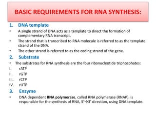 BASIC REQUIREMENTS FOR RNA SYNTHESIS:
1. DNA template
• A single strand of DNA acts as a template to direct the formation of
complementary RNA transcript.
• The strand that is transcribed to RNA molecule is referred to as the template
strand of the DNA.
• The other strand is referred to as the coding strand of the gene.
2. Substrate
• The substrates for RNA synthesis are the four ribonucleotide triphosphates:
I. rATP
II. rGTP
III. rCTP
IV. rUTP
3. Enzyme
• DNA dependent RNA polymerase, called RNA polymerase (RNAP), is
responsible for the synthesis of RNA, 5’→3’ direction, using DNA template.
 