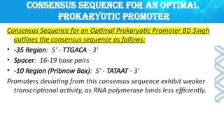 transcription biochemistry.pptx prokaryotes and eukaryotes | PPTX