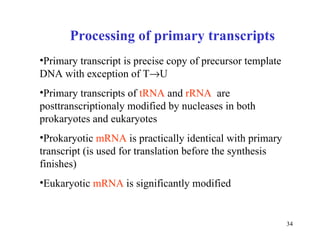 Transcription dna2011 | PPT