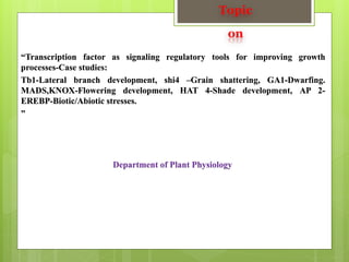 Topic
on
“Transcription factor as signaling regulatory tools for improving growth
processes-Case studies:
Tb1-Lateral branch development, shi4 –Grain shattering, GA1-Dwarfing.
MADS,KNOX-Flowering development, HAT 4-Shade development, AP 2-
EREBP-Biotic/Abiotic stresses.
”
Department of Plant Physiology
 