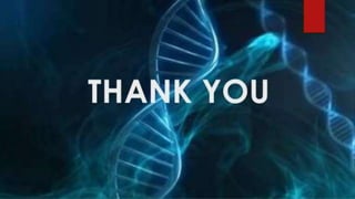 Transcription factor ets2