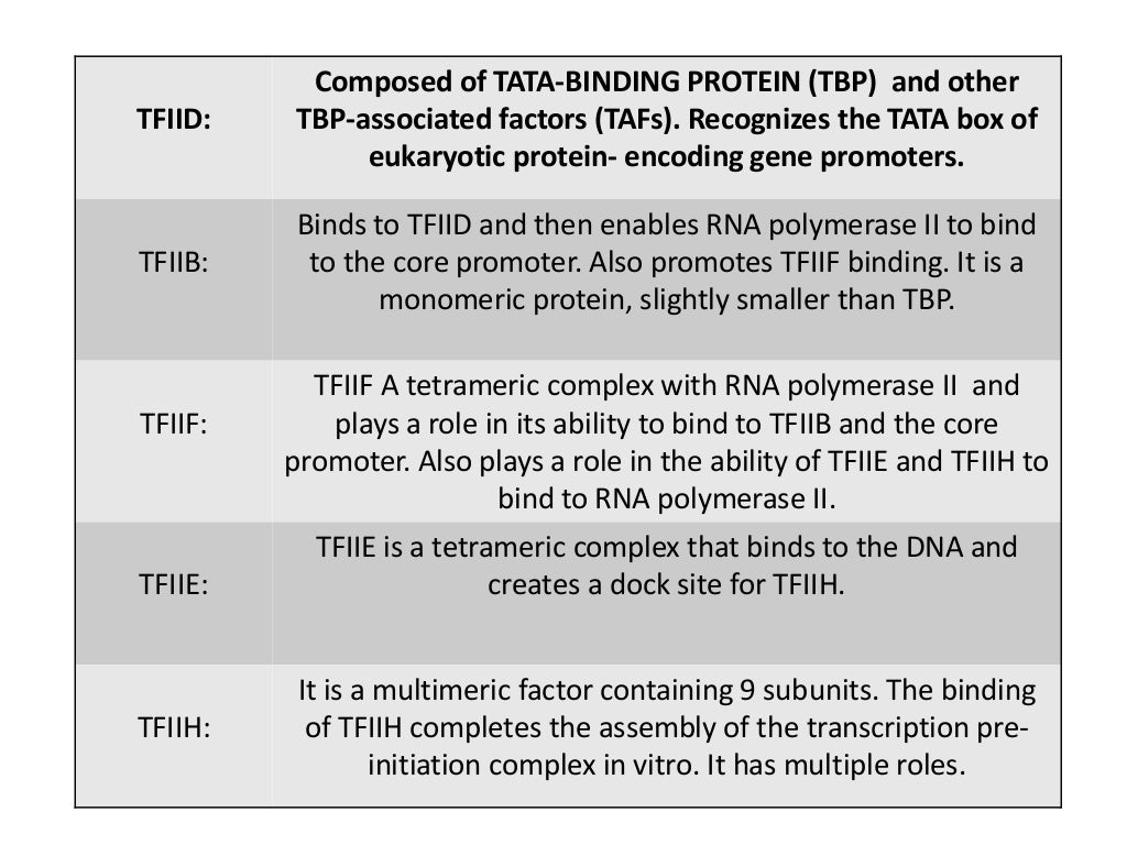 Transcription Factors