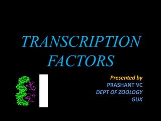 TRANSCRIPTION
FACTORS
Presented by
PRASHANT VC
DEPT OF ZOOLOGY
GUK
 