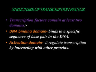 TRANSCRIPTION FACTORS.pptx