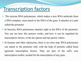 Transcription factors and machinery | PPTX
