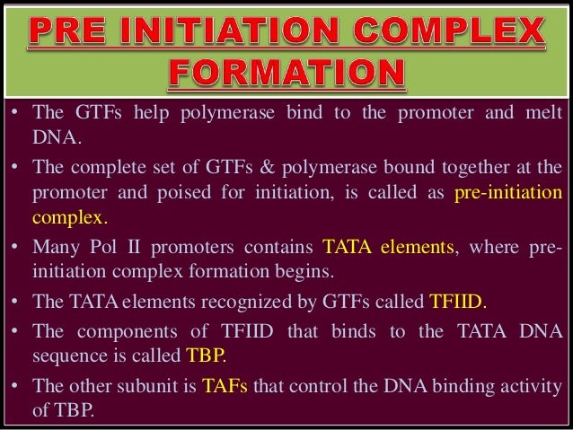 transcription in eukaryotes rna pol ii promoters which of the following form the preinitiation complex pic