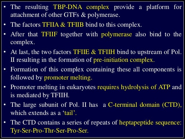 transcription in eukaryotes rna pol ii promoters which of the following form the preinitiation complex pic