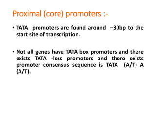 Proximal (core) promoters :-
• TATA promoters are found around –30bp to the
start site of transcription.
• Not all genes have TATA box promoters and there
exists TATA -less promoters and there exists
promoter consensus sequence is TATA (A/T) A
(A/T).
 