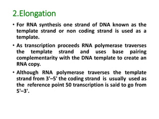 2.Elongation
• For RNA synthesis one strand of DNA known as the
template strand or non coding strand is used as a
template.
• As transcription proceeds RNA polymerase traverses
the template strand and uses base pairing
complementarity with the DNA template to create an
RNA copy.
• Although RNA polymerase traverses the template
strand from 3'–5' the coding strand is usually used as
the reference point 50 transcription is said to go from
5'–3'.
 