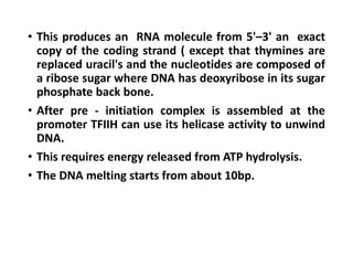 • This produces an RNA molecule from 5'–3' an exact
copy of the coding strand ( except that thymines are
replaced uracil's and the nucleotides are composed of
a ribose sugar where DNA has deoxyribose in its sugar
phosphate back bone.
• After pre - initiation complex is assembled at the
promoter TFIIH can use its helicase activity to unwind
DNA.
• This requires energy released from ATP hydrolysis.
• The DNA melting starts from about 10bp.
 