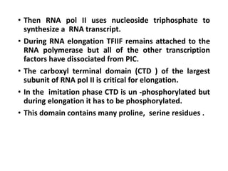 • Then RNA pol II uses nucleoside triphosphate to
synthesize a RNA transcript.
• During RNA elongation TFIIF remains attached to the
RNA polymerase but all of the other transcription
factors have dissociated from PIC.
• The carboxyl terminal domain (CTD ) of the largest
subunit of RNA pol II is critical for elongation.
• In the imitation phase CTD is un -phosphorylated but
during elongation it has to be phosphorylated.
• This domain contains many proline, serine residues .
 