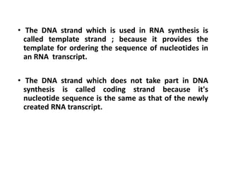 • The DNA strand which is used in RNA synthesis is
called template strand ; because it provides the
template for ordering the sequence of nucleotides in
an RNA transcript.
• The DNA strand which does not take part in DNA
synthesis is called coding strand because it's
nucleotide sequence is the same as that of the newly
created RNA transcript.
 