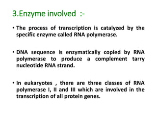 3.Enzyme involved :-
• The process of transcription is catalyzed by the
specific enzyme called RNA polymerase.
• DNA sequence is enzymatically copied by RNA
polymerase to produce a complement tarry
nucleotide RNA strand.
• In eukaryotes , there are three classes of RNA
polymerase I, II and III which are involved in the
transcription of all protein genes.
 