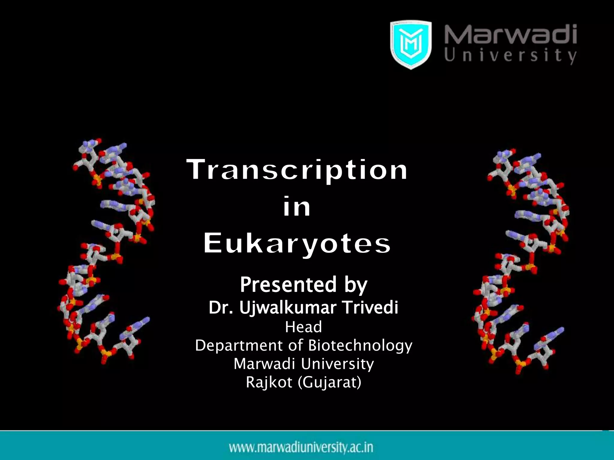Transcription in Eukaryotes | PPTX