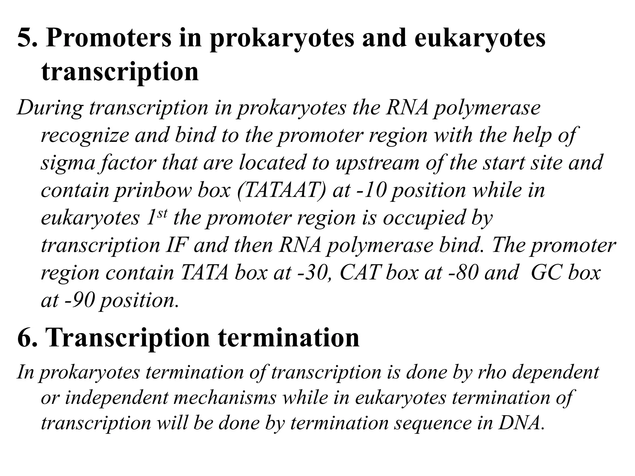difference between Transcription in eukaryotes and prokaryotes | PPT