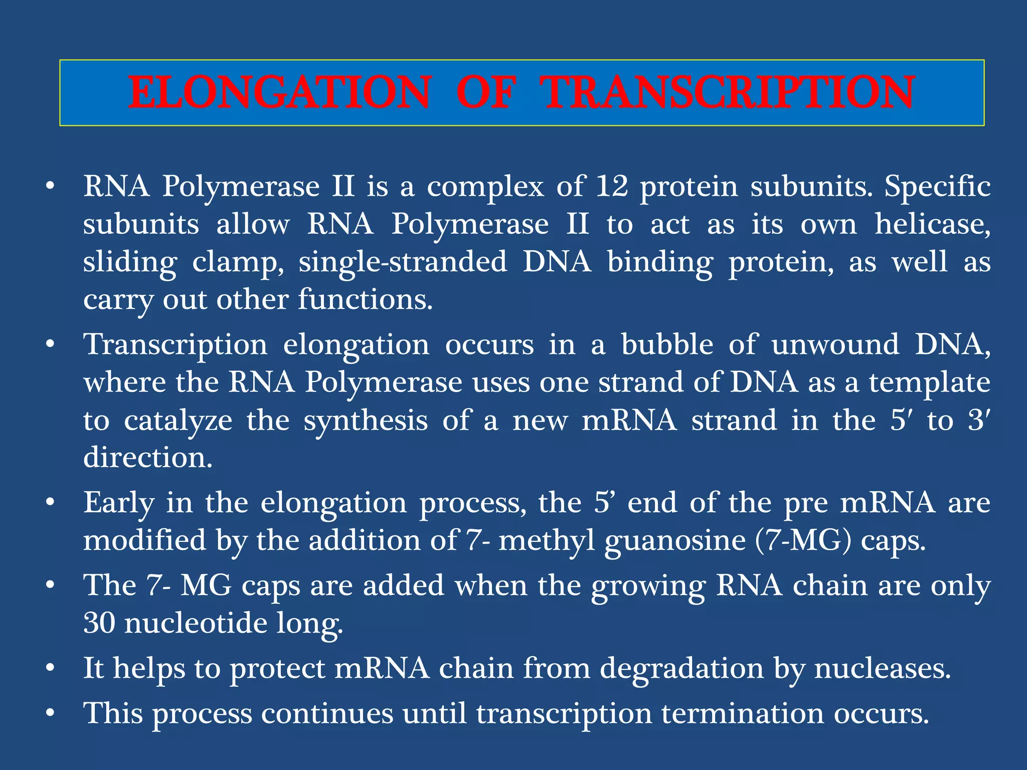 Transcription in eukaryotes | PPTX