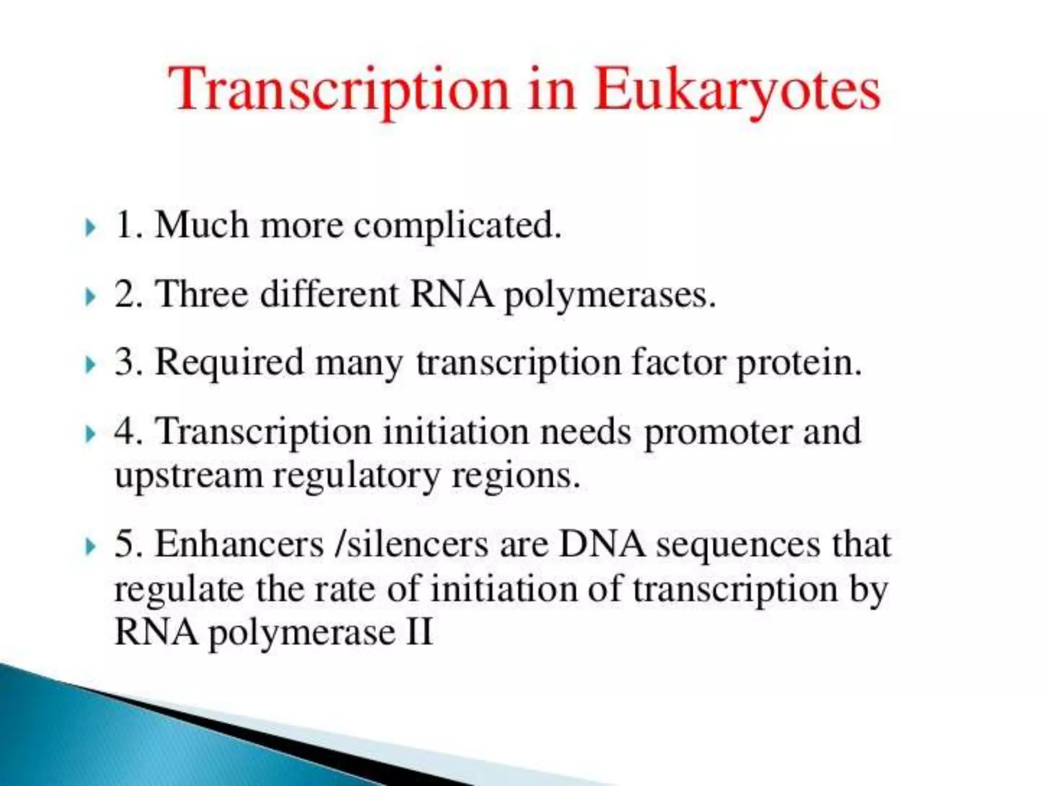 Transcription in Eukaryotes.pptx