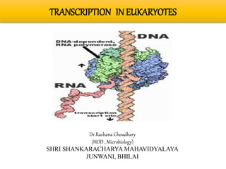 TRANSCRIPTION IN EUKARYOTES
Dr.Rachana Choudhary
(HOD , Microbiology)
SHRI SHANKARACHARYA MAHAVIDYALAYA
JUNWANI, BHILAI
 