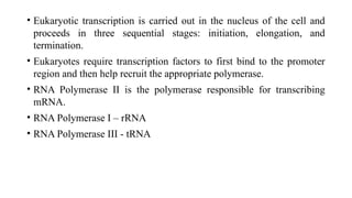 Comprehensive Overview of Eukaryotic Transcription Mechanisms and ...