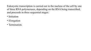 Comprehensive Overview of Eukaryotic Transcription Mechanisms and ...