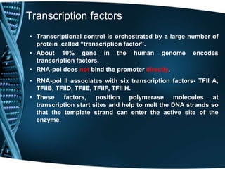 Transcription factors
• Transcriptional control is orchestrated by a large number of
protein ,called “transcription factor”.
• About 10% gene in the human genome encodes
transcription factors.
• RNA-pol does not bind the promoter directly.
• RNA-pol II associates with six transcription factors- TFII A,
TFIIB, TFIID, TFIIE, TFIIF, TFII H.
• These factors, position polymerase molecules at
transcription start sites and help to melt the DNA strands so
that the template strand can enter the active site of the
enzyme.
 