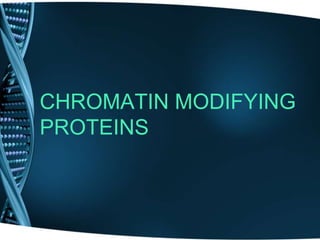 CHROMATIN MODIFYING
PROTEINS
 