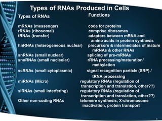 5
Types of RNAs Produced in Cells
Types of RNAs Functions
mRNAs (messenger) code for proteins
rRNAs (ribosomal) comprise ribosomes
tRNAs (transfer) adaptors between mRNA and
amino acids in protein synthesis
hnRNAs (heterogeneous nuclear) precursors & intermediates of mature
mRNAs & other RNAs
snRNAs (small nuclear) splicing of pre-mRNAs
snoRNAs (small nucleolar) rRNA processing/maturation/
methylation
scRNAs (small cytoplasmic) signal recognition particle (SRP) /
tRNA processing
miRNAs (Micro) regulatory RNAs (regulation of
transcription and translation, other??)
siRNAs (small interfering) regulatory RNAs (regulation of
transcription and translation, other??)
Other non-coding RNAs telomere synthesis, X-chromosome
inactivation, protein transport
 